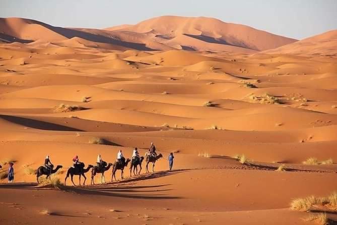 Merzouga Camel Trekking Camp エクステリア 写真